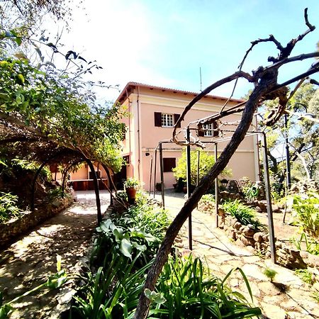 Aragonite Azzurra Casa Vacanza ゴンネーザ エクステリア 写真