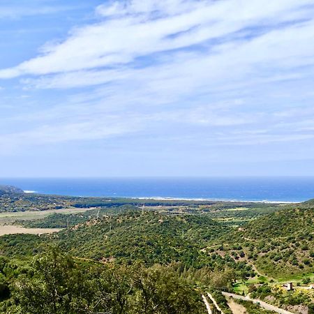 Aragonite Azzurra Casa Vacanza ゴンネーザ エクステリア 写真
