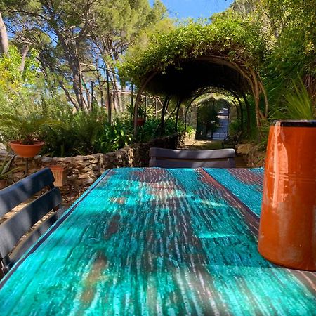 Aragoniteazzurra Casa Vacanza ゴンネーザ エクステリア 写真