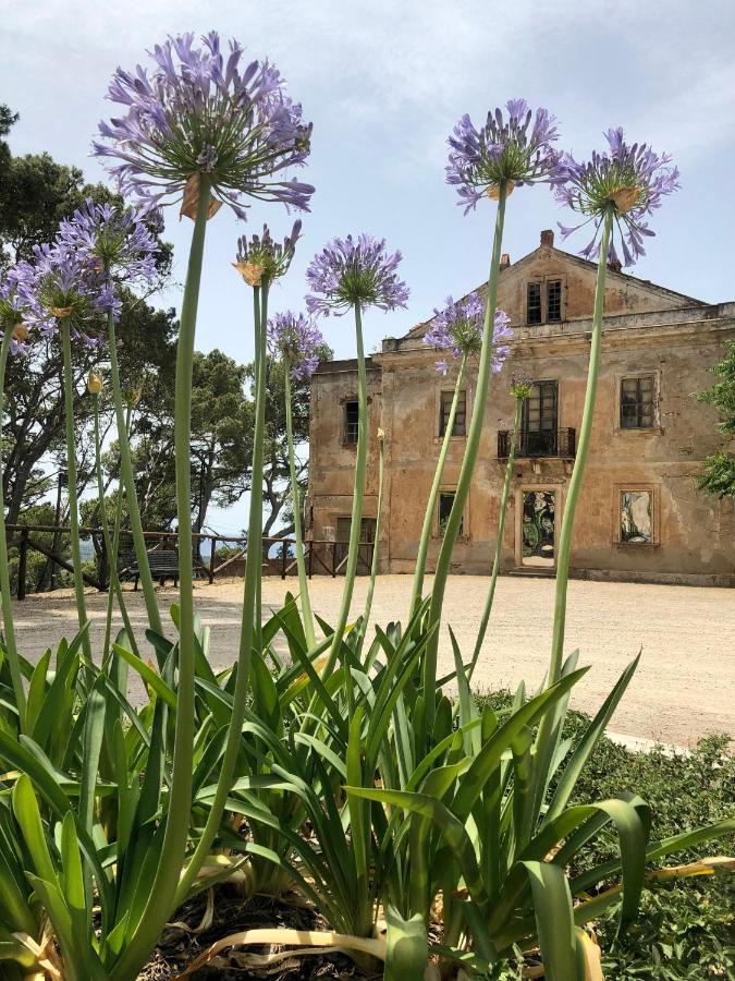 Aragonite Azzurra Casa Vacanza ゴンネーザ エクステリア 写真