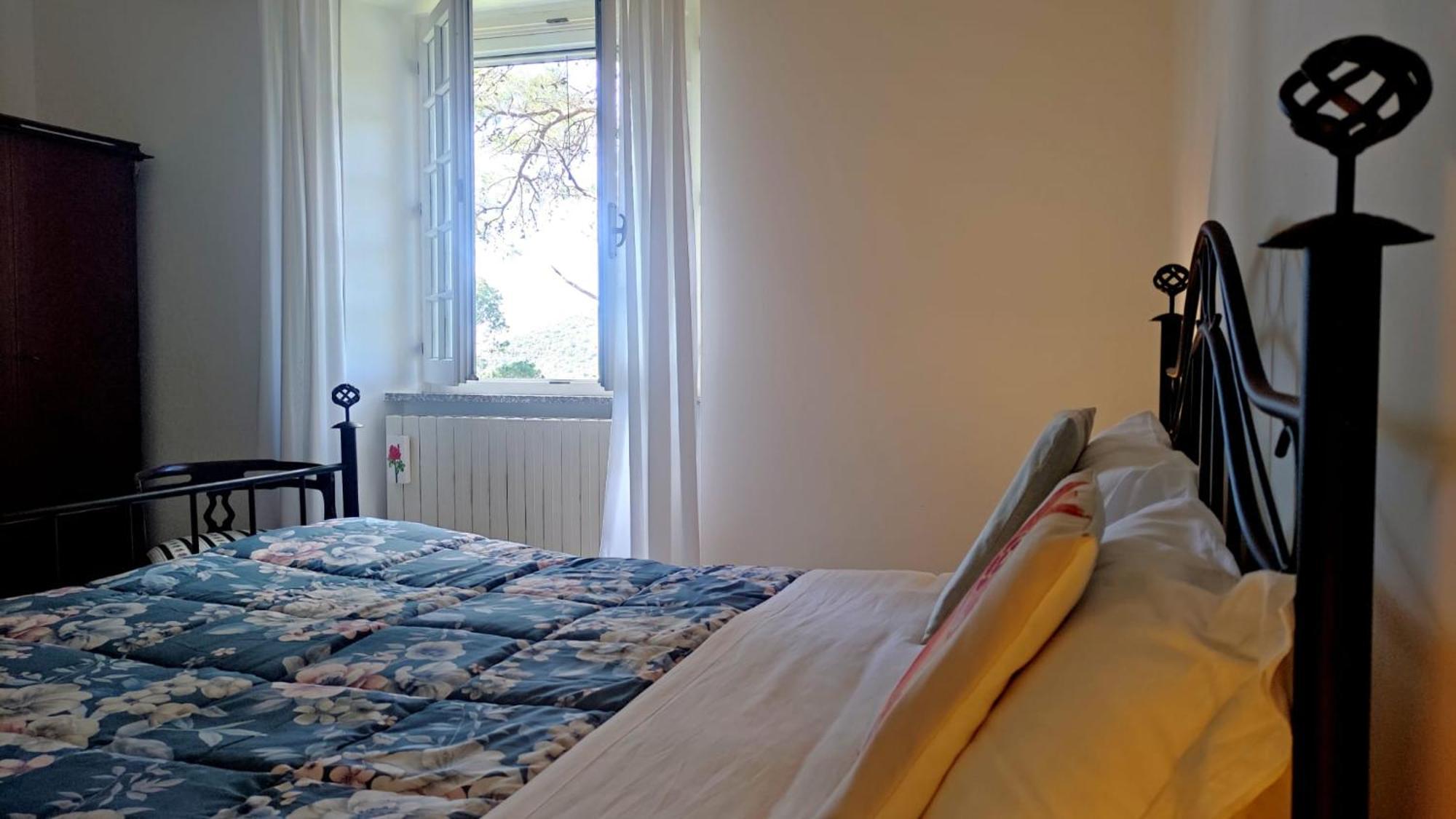 Aragonite Azzurra Casa Vacanza ゴンネーザ エクステリア 写真