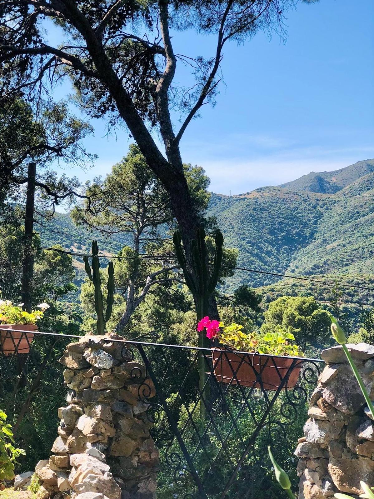 Aragonite Azzurra Casa Vacanza ゴンネーザ エクステリア 写真