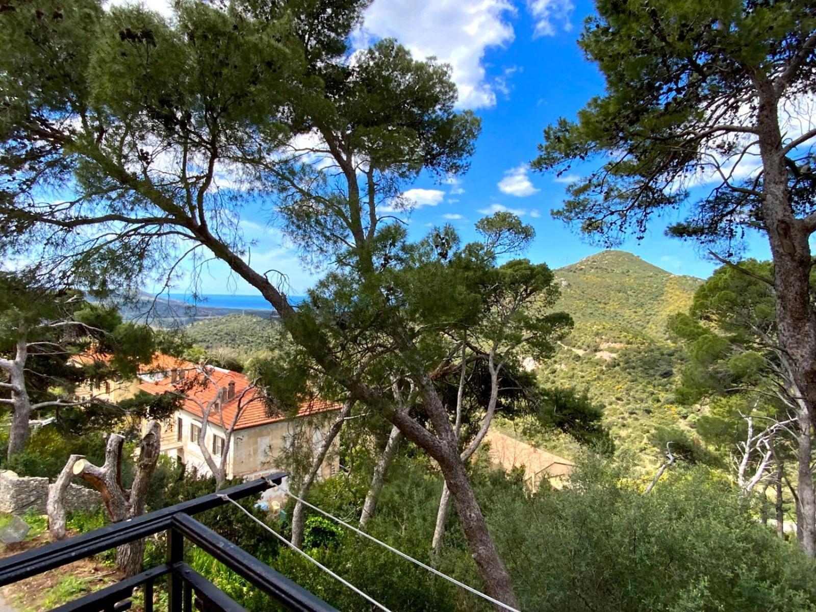 Aragoniteazzurra Casa Vacanza ゴンネーザ エクステリア 写真