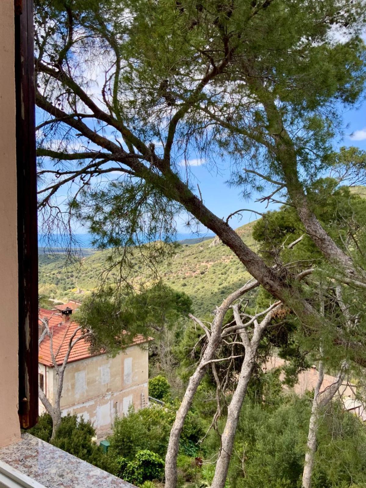 Aragonite Azzurra Casa Vacanza ゴンネーザ エクステリア 写真